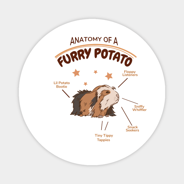 Anatomy Of A Furry Potato Guinea Pig Lover Magnet by Artmoo